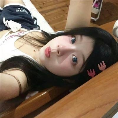斑马头